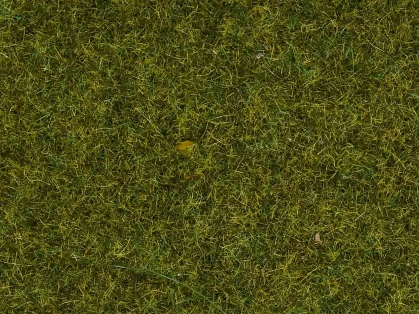 Noch 07117 - Wildgras Wiese 9 mm, 50 g 0/H0/TT