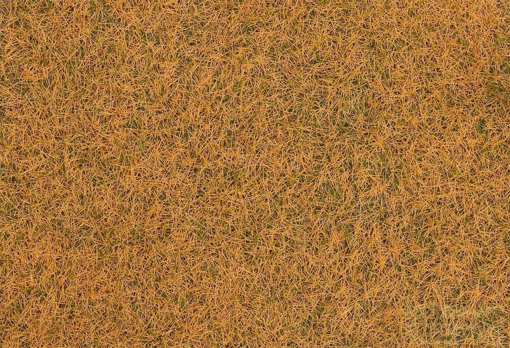 Faller 170223 - Grasfasern beige 4 mm 20 g H0 1:87