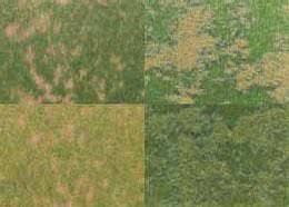 Busch 1300 - Groundcover 4er Set H0 1:87 / TT 1:120 / N 1:160 / Z 1:220