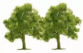 Busch 6627 - 2 Obstbäume 45 mm N 1:160