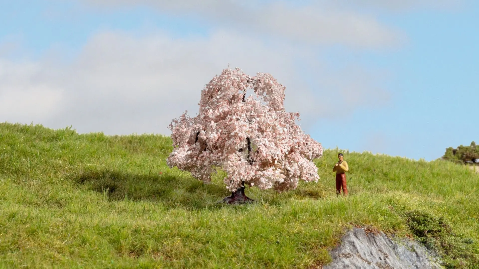 Noch 20147 - Kirschbaum G/1/0/H0/H0m/H0e/TT/N/Z
