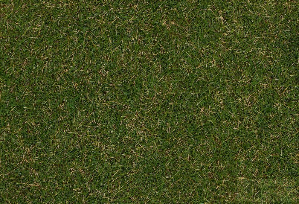 Faller 170217 - Grasfasern Sommerwiese 4 mm 20 g H0 1:87