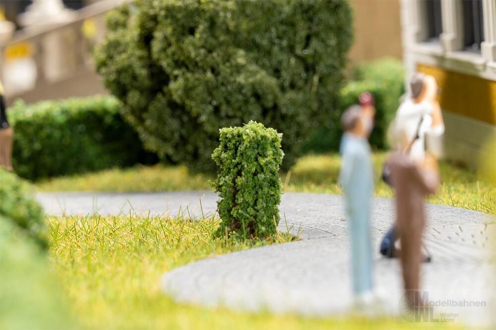 Faller 181592 - 10 Vorgartenbäume, Thuja, säu H0 1:87