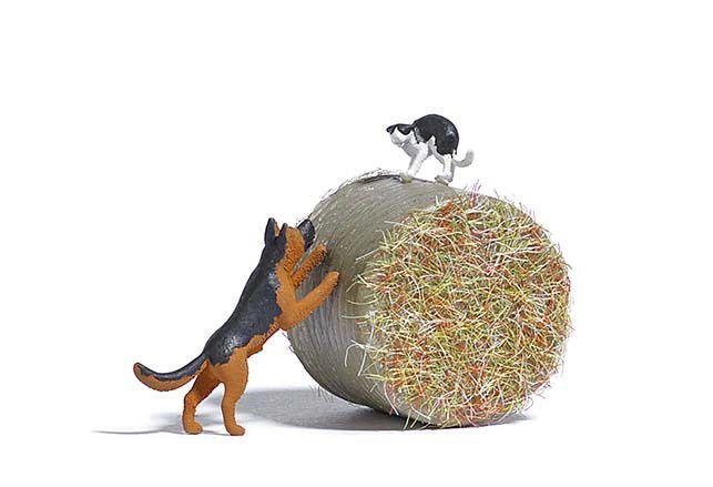 Busch 7920 - A-Set: Hund jagt Katze H0 1:87 Busch 7920 - A-Set: Hund jagt Katze H0 1:87