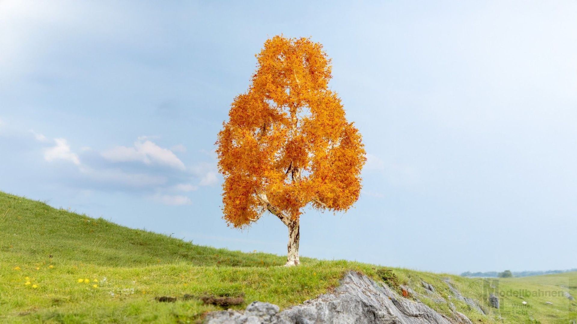 Noch 20129 - Birke herbstlich 1/0/H0