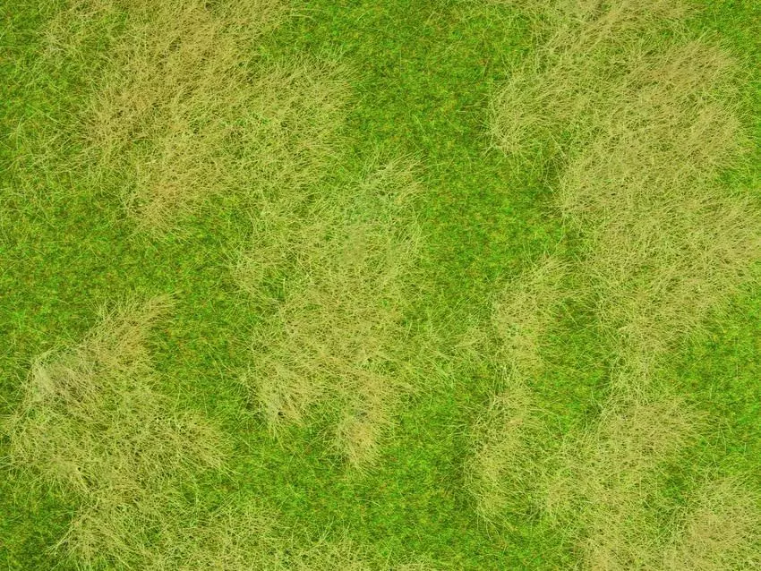 Noch 07472 - Natur+ Naturwiese 2 Stück, jeweils 25 x 25 cm G/0/H0/TT/N/Z