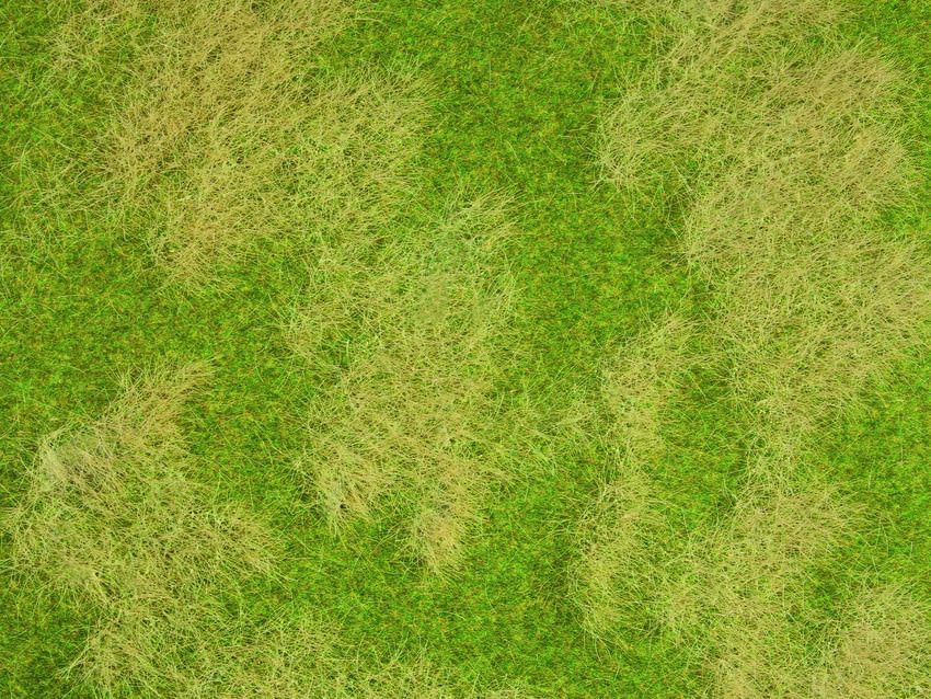 Noch 07472 - Natur+ Naturwiese 2 Stück, jeweils 25 x 25 cm G/0/H0/TT/N/Z