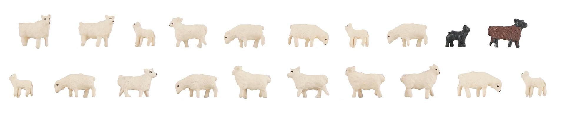 Faller 155907 - 20 Hausschafe N 1:160