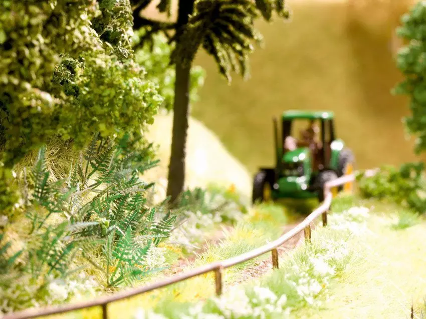 Noch 14606 - Farn 18 Pflanzen N 1:160