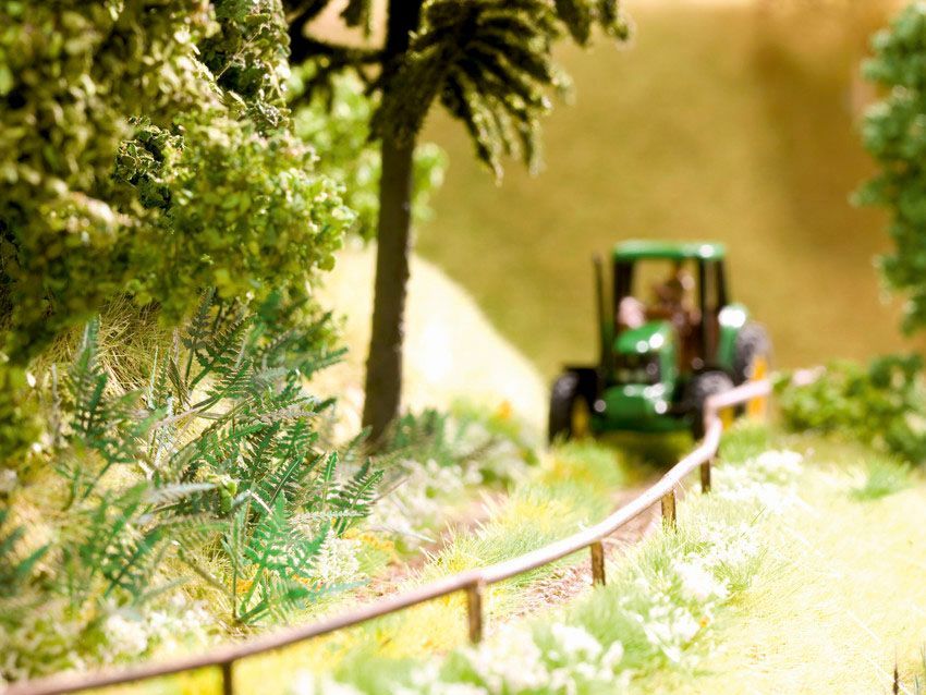 Noch 14606 - Farn 18 Pflanzen N 1:160