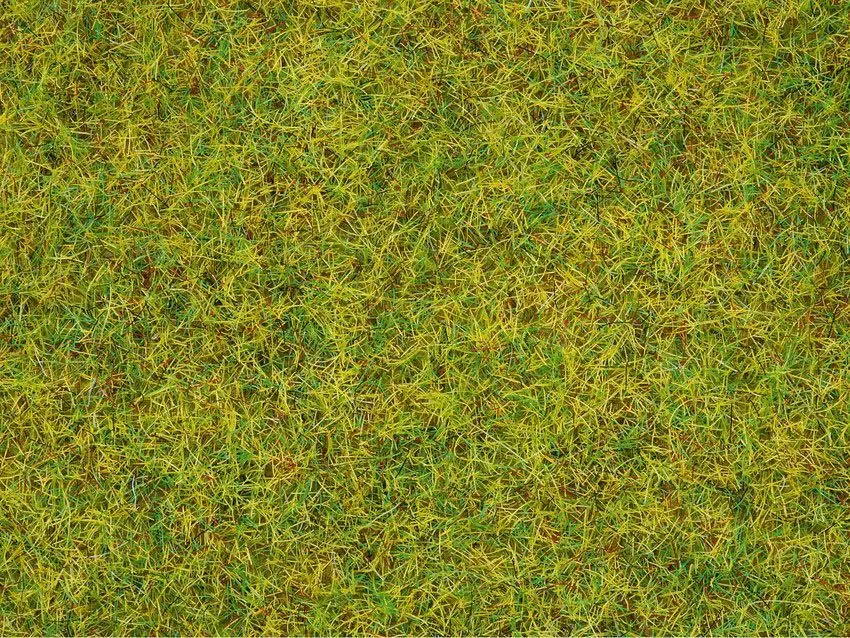 Noch 50190 - Streugras Sommerwiese 2,5 mm, 100 g G/1/0/H0/H0m/H0e/TT/N/Z