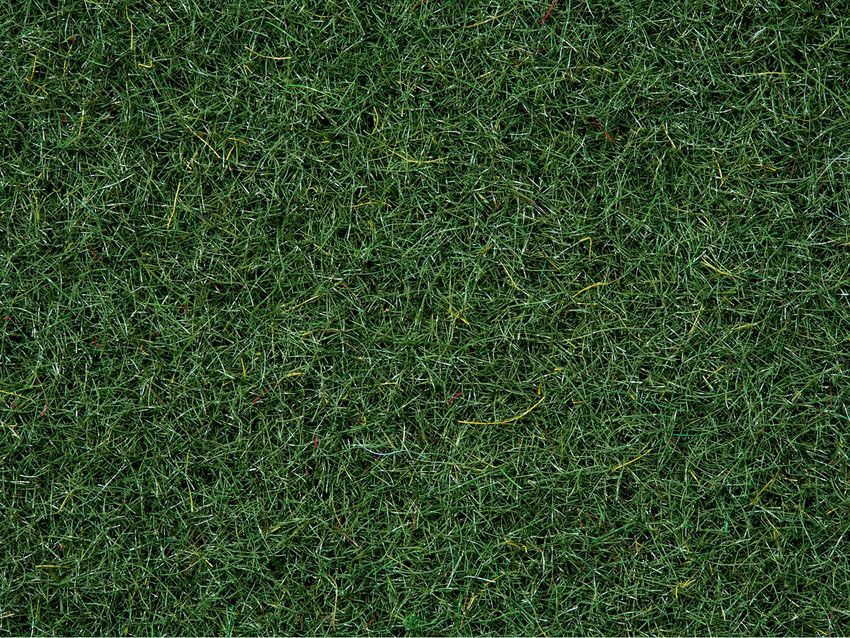 Noch 50200 - Streugras Moorboden 2,5 mm, 100 g G/1/0/H0/H0m/H0e/TT/N/Z