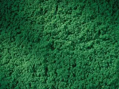 Auhagen 76670 - Rollrasen dunkelgrün H0 1:87