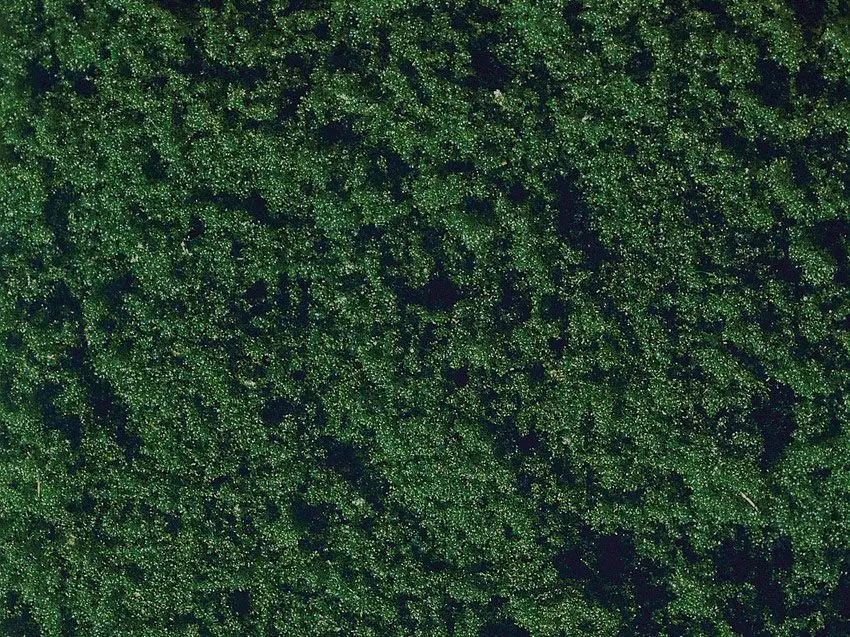 Noch 07206 - Flockage dunkelgrün, 20 g G/1/0/H0/H0m/H0e/TT/N/Z