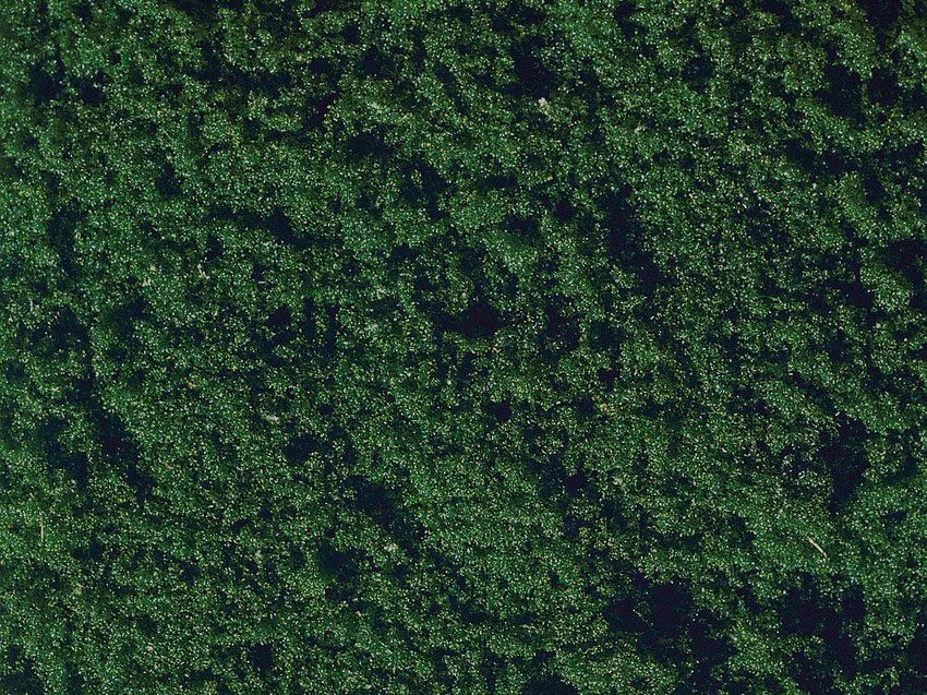 Noch 07206 - Flockage dunkelgrün, 20 g G/1/0/H0/H0m/H0e/TT/N/Z