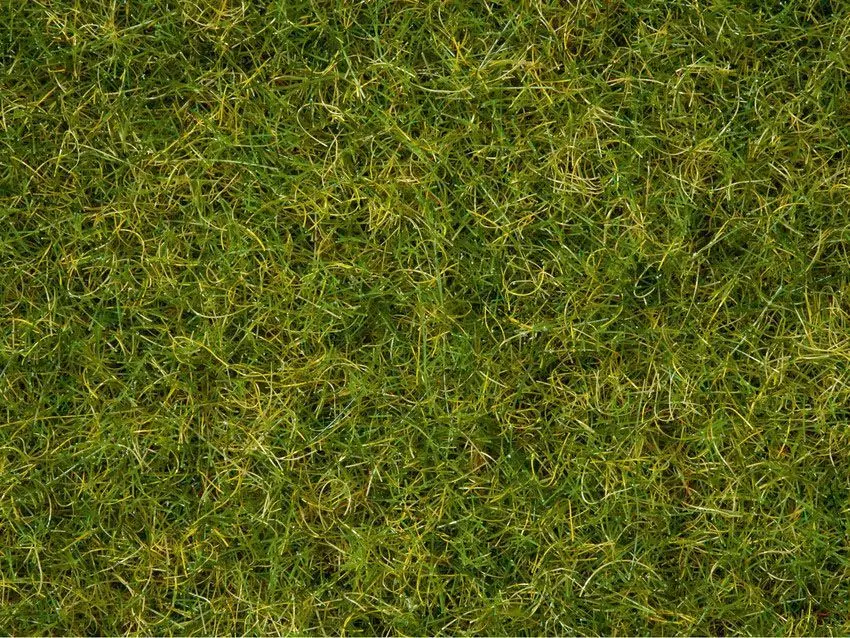 Noch 07072 - Master-Grasmischung Sommerwiese 2,5 bis 6 mm, 50 g G/0/H0/TT