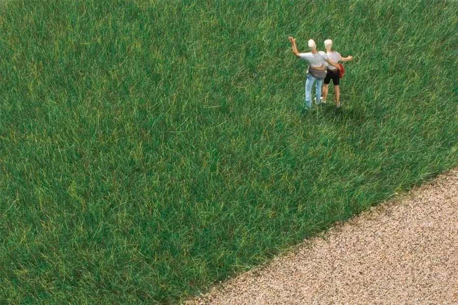 Auhagen 75612 - Grasfaser dunkelgrün 6,0 mm 50g H0 1:87