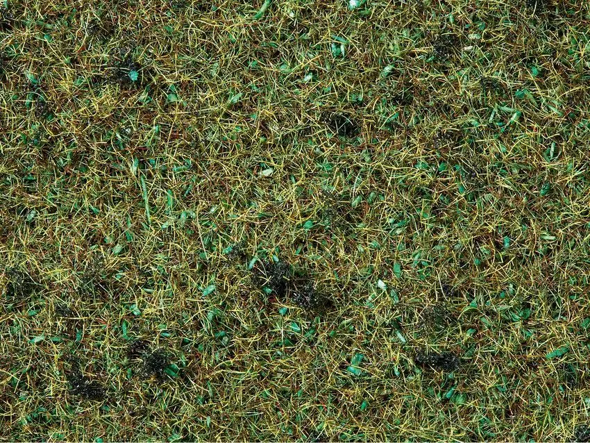 Noch 08157 - Streugras Waldboden 2,5 mm, 120 g G/1/0/H0/H0m/H0e/TT/N/Z