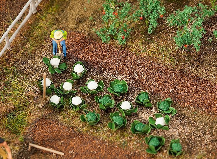 Faller 181257 - 10 Grün - und 10 Blumenkohlkö H0 1:87