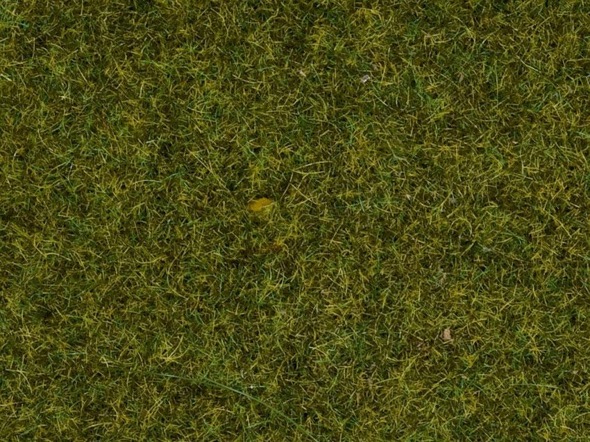 Noch 50220 - Streugras Wiese 2,5 mm, 100 g G/1/0/H0/H0m/H0e/TT/N/Z