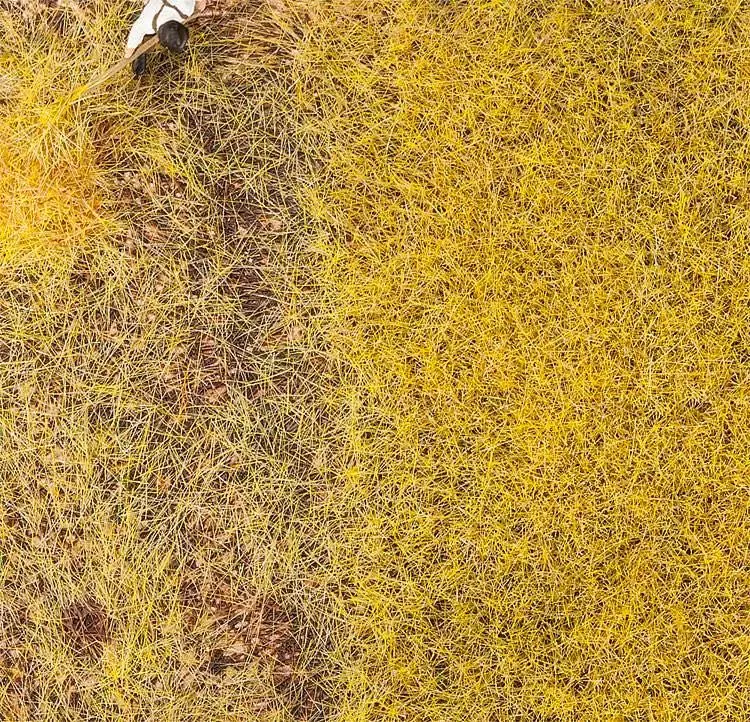 Faller 170776 - PREMIUM Streufasern Stroh 30g H0 1:87