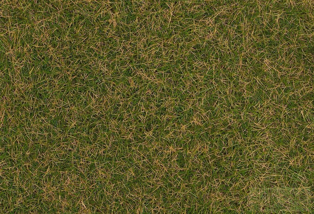 Faller 170222 - Grasfasern braungrün 4 mm 80 g H0 1:87
