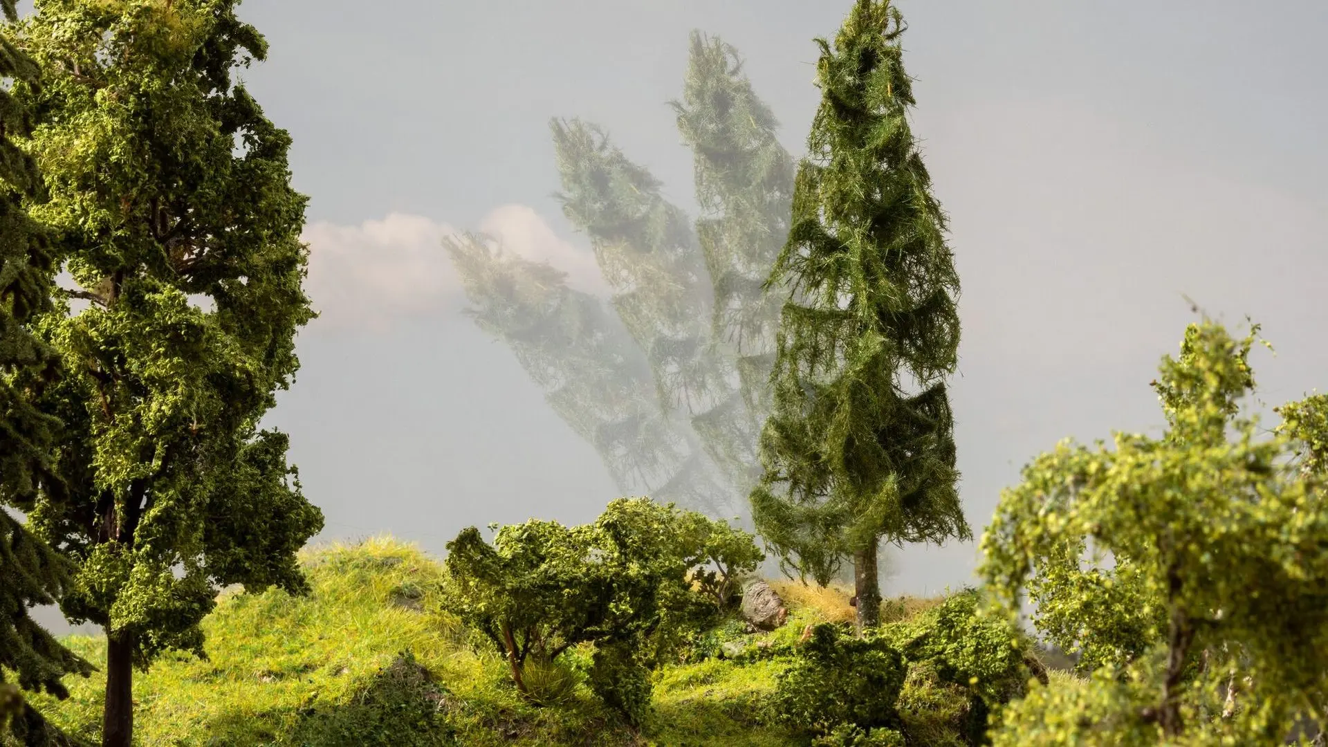 Noch 21775 - micro-motion Fallender Baum Tanne 17 cm hoch, 6 cm breit H0 1:87/TT 1:120