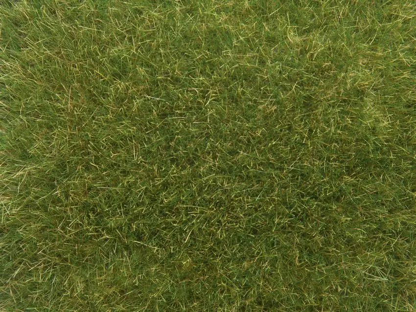 Noch 07118 - Wildgras mittelgrün, 9 mm, 50 g 0/H0/TT