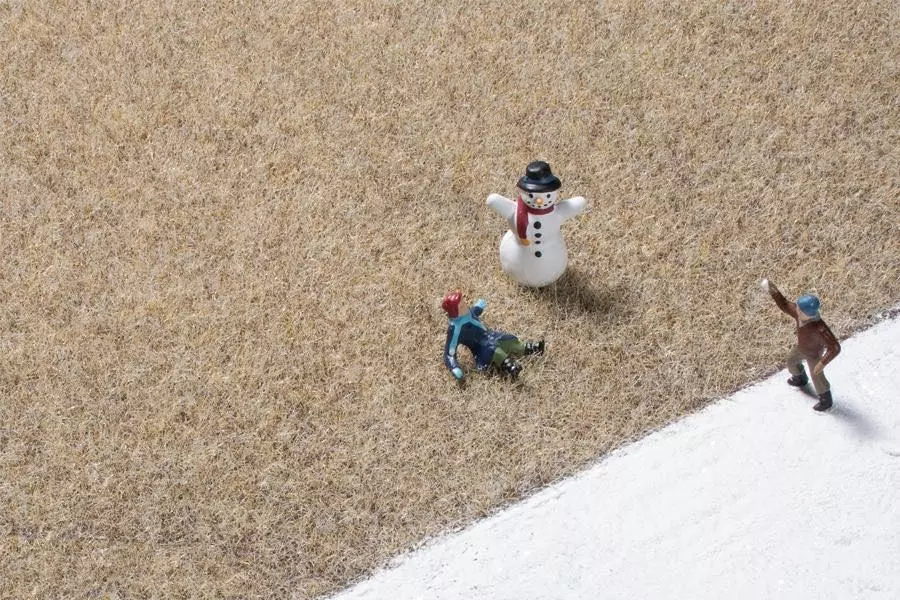 Auhagen 75609 - Grasfaser Wintergras 2,5 mm H0 1:87