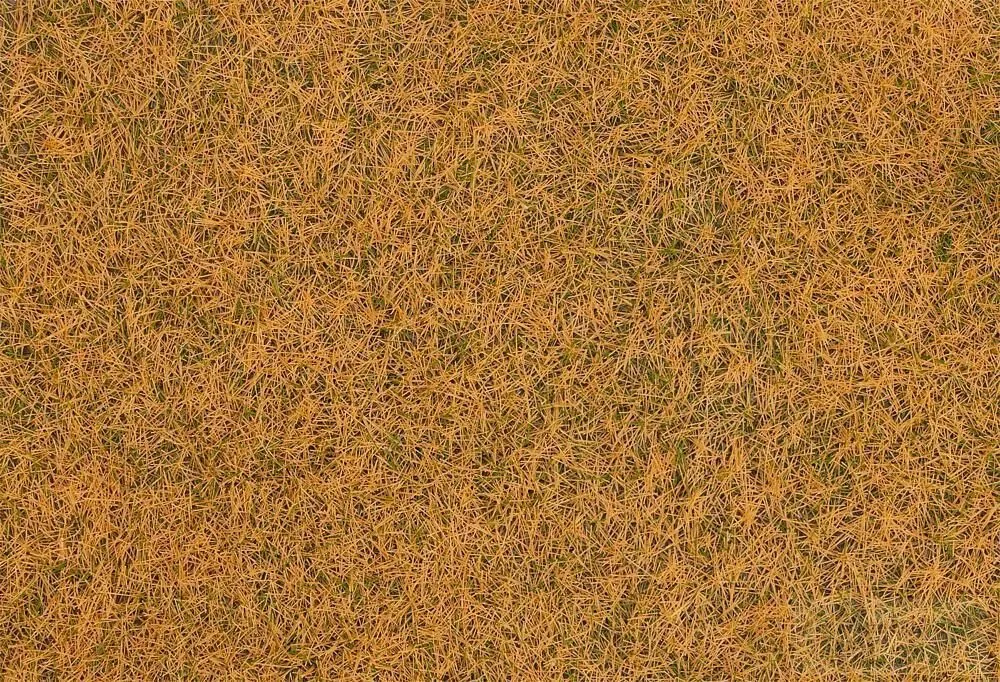 Faller 170224 - Grasfasern beige 4 mm 80 g H0 1:87