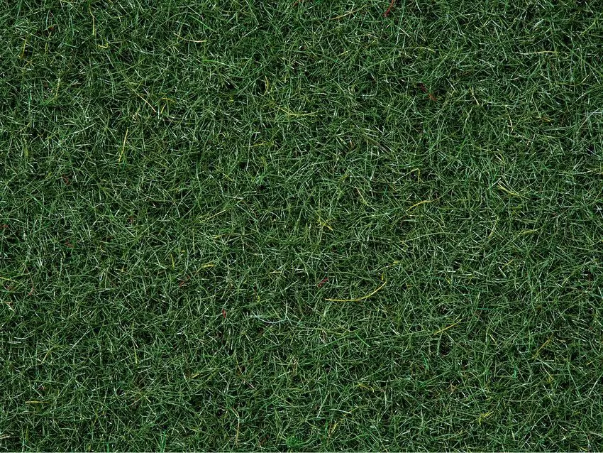 Noch 50200 - Streugras Moorboden 2,5 mm, 100 g G/1/0/H0/H0m/H0e/TT/N/Z