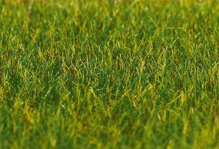 Faller 180485 - Premium Streufasern Gras, 30g H0 1:87