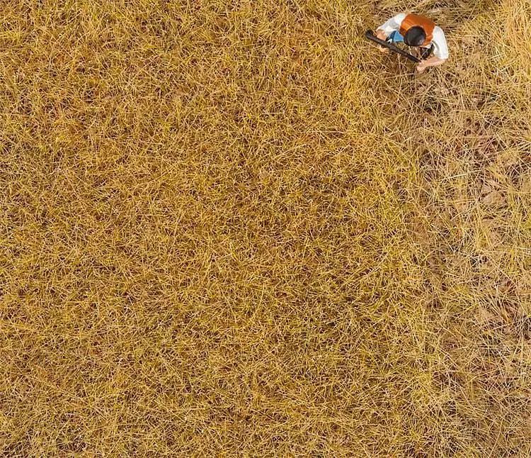 Faller 170775 - PREMIUM Streufasern Heu 30g H0 1:87