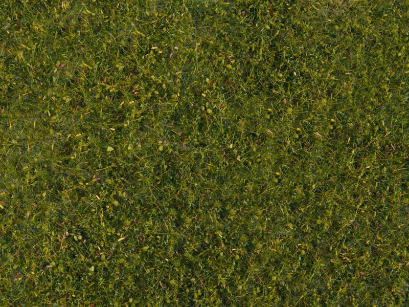 Noch 07291 - Wiesen-Foliage mittelgrün, 20 x 23 cm G/1/0/H0/H0m/H0e/TT/N/Z Noch 07291 - Wiesen-Foliage mittelgrün, 20 x 23 cm G/1/0/H0/H0m/H0e/TT/N/Z
