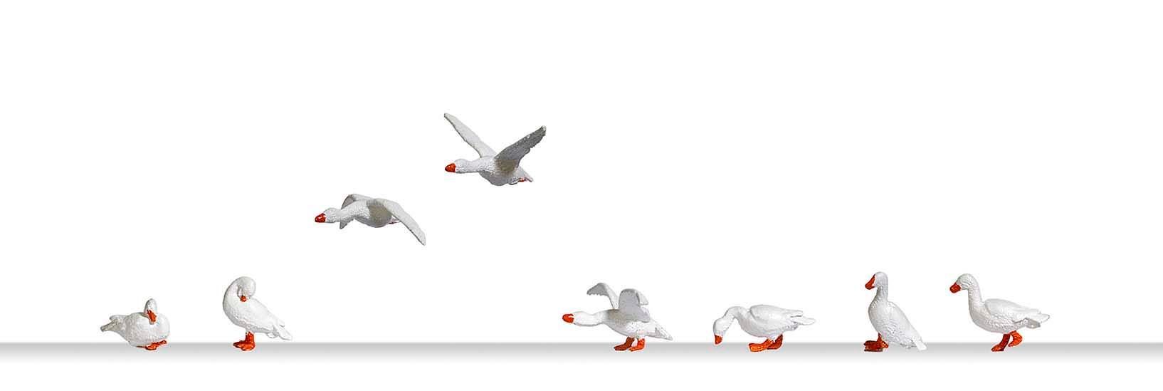 Busch 1195 - Hausgänse H0 1:87 Busch 1195 - Hausgänse H0 1:87