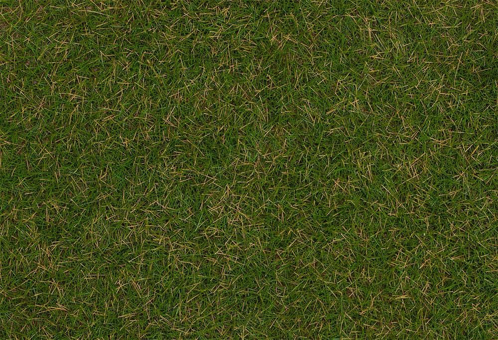 Faller 170257 - Streufasern Wildgras Sommerwiese H0 1:87