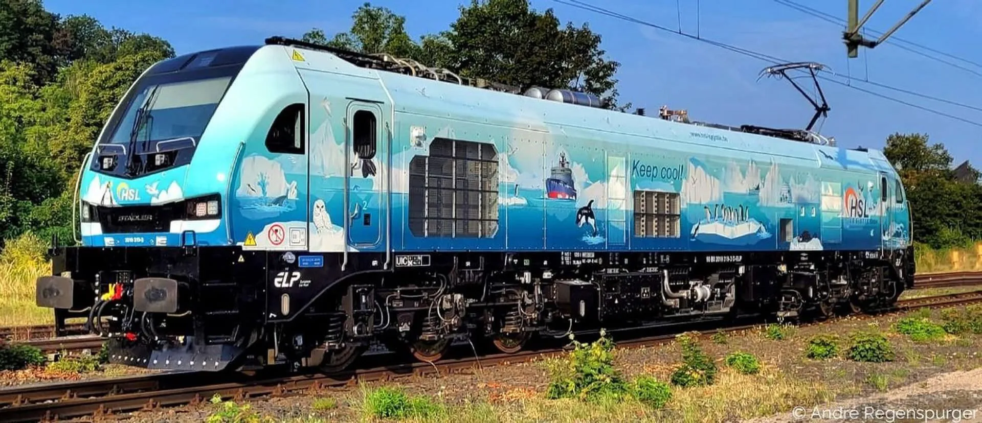 Sudexpress S0193190 - Zweikraftlok BR 2019 319-3 Euro 9000 HSL Ep.VI Artic Rider H0/GL Sound