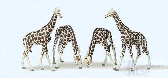 Preiser 79715 - Giraffen N 1:160