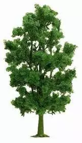 Busch 6771 - Kastanie 21 mm H0 1:87