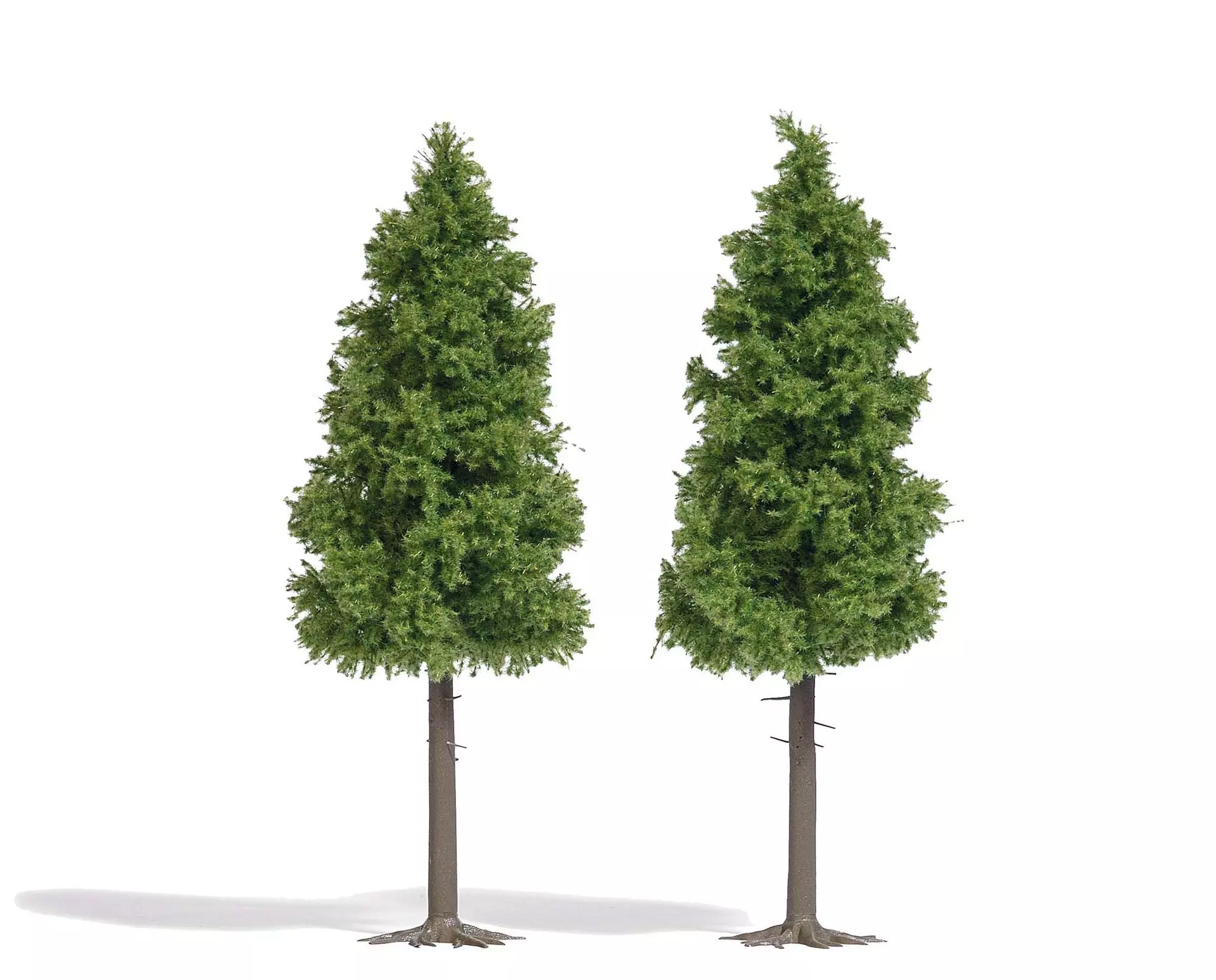 Busch 6126 - 2 Lärchen 135mm H0 1:87