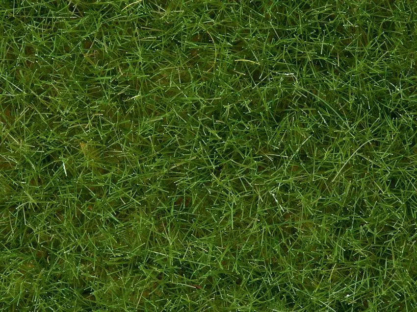 Noch 07102 - Wildgras hellgrün, 6 mm, 50 g G/1/0/H0/H0m/H0e/TT/N/Z