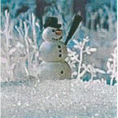 Busch 7170 - Schneepulver Wintertraum 200g  H0 1:87 / TT 1:120 / N 1:160 / Z 1:220