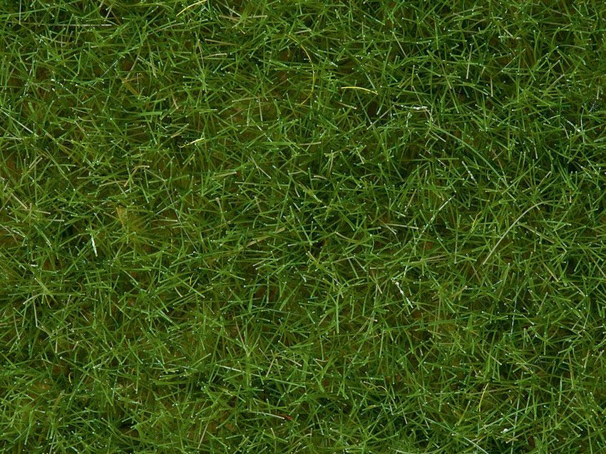 Noch 07092 - Wildgras hellgrün, 6 mm, 100 g G/1/0/H0/H0m/H0e/TT/N/Z Noch 07092 - Wildgras hellgrün, 6 mm, 100 g G/1/0/H0/H0m/H0e/TT/N/Z