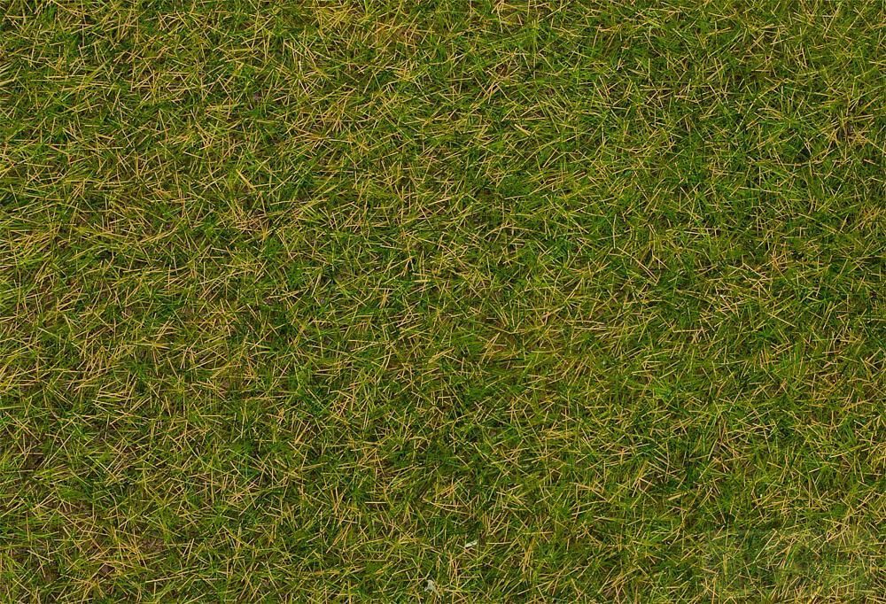 Faller 170216 - Grasfasern Frühsommerwiese 4 mm 80 g H0 1:87