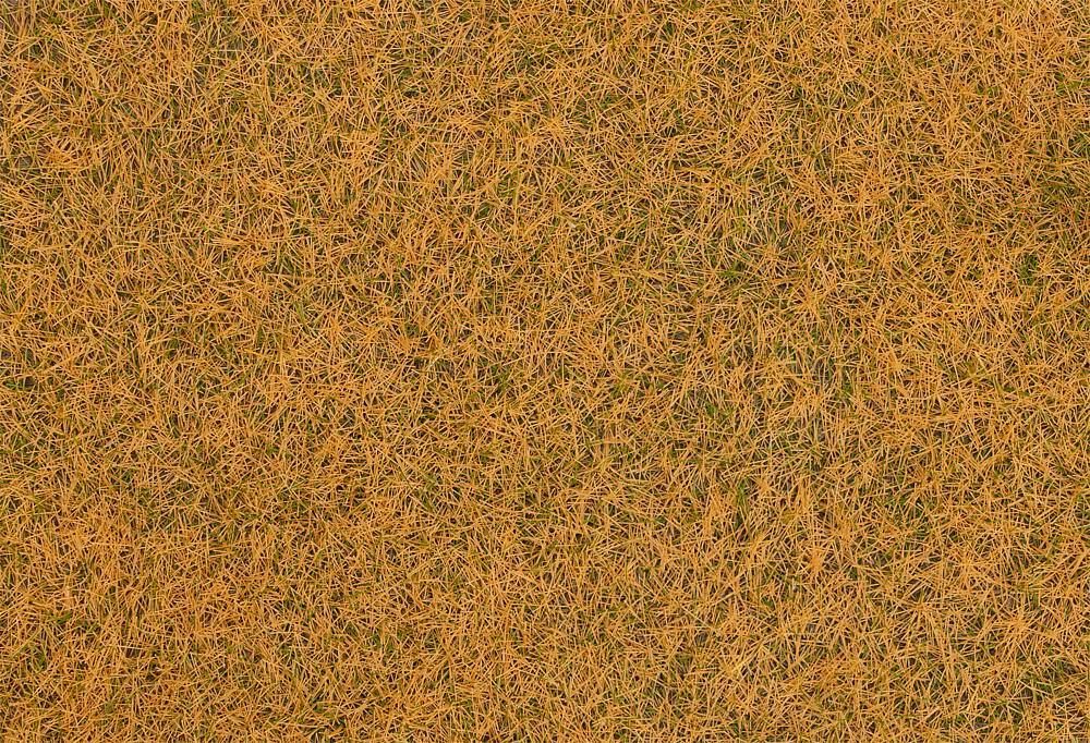 Faller 170235 - Streufasern Wildgras verdorrt H0 1:87