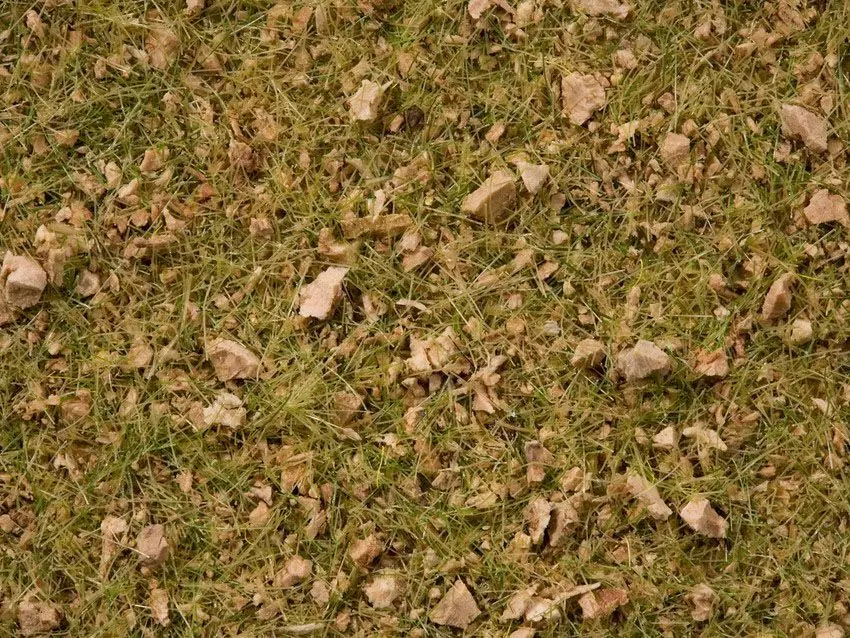 Noch 07075 - Master-Grasmischung Almwiese 2,5 bis 6 mm, 50 g G/0/H0/TT