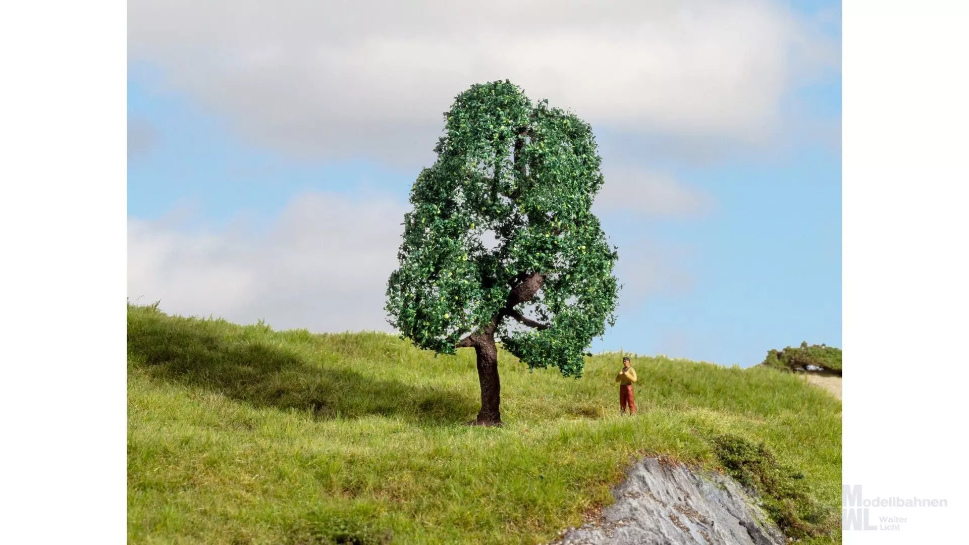 Noch 20111 - Eiche G/1/0/H0/H0m/H0e/TT/N/Z