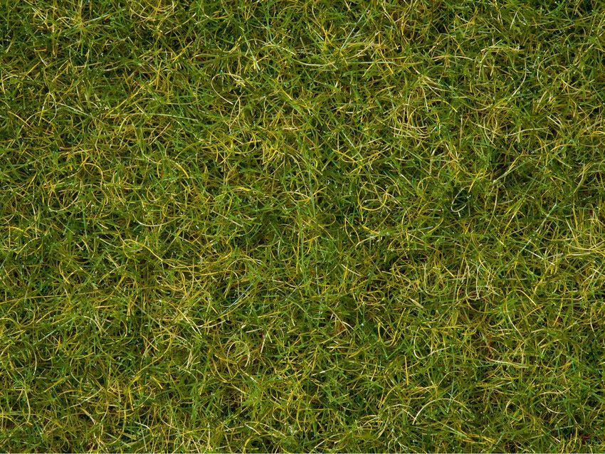Noch 07072 - Master-Grasmischung Sommerwiese 2,5 bis 6 mm, 50 g G/0/H0/TT