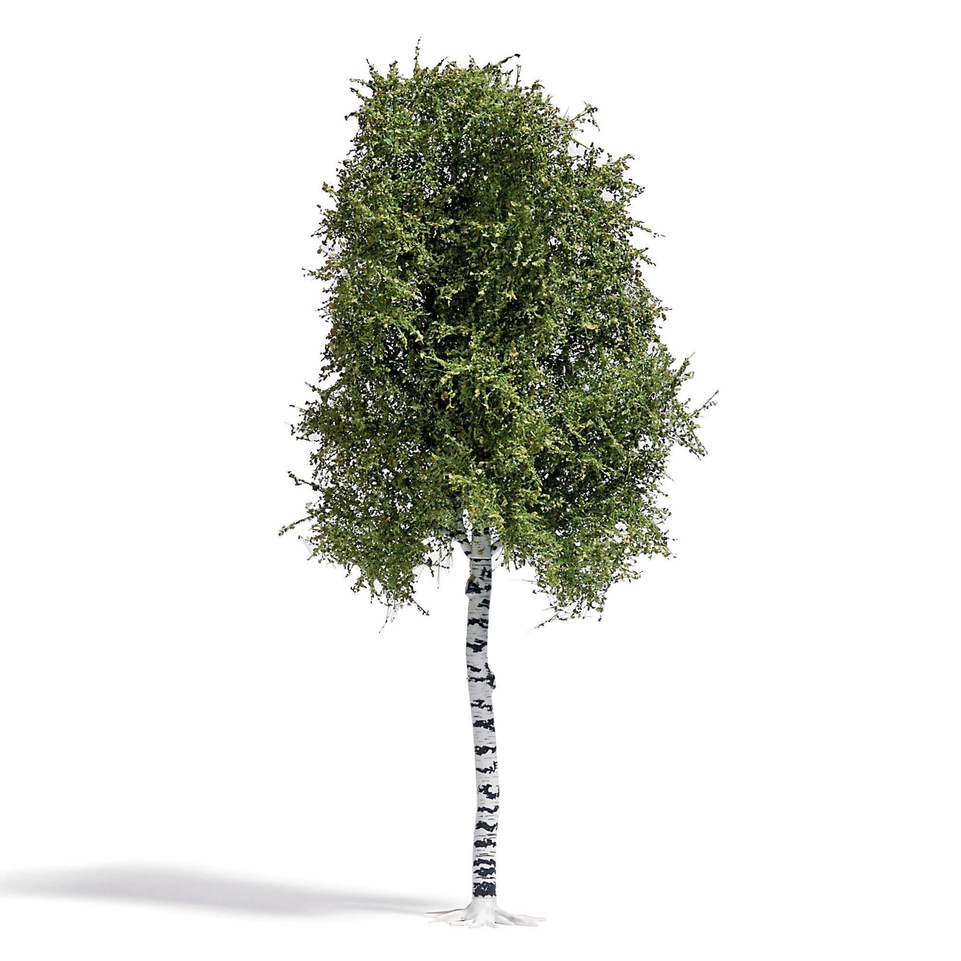 Busch 3782 - Birke 170 mm, Sommer H0 1:87