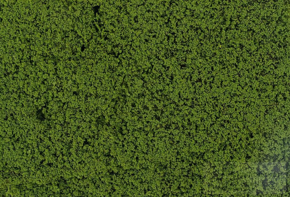 Faller 181622 - Blätterfoliage grün H0 1:87 / TT 1:120 / N 1:160